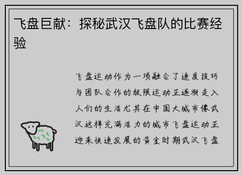飞盘巨献：探秘武汉飞盘队的比赛经验