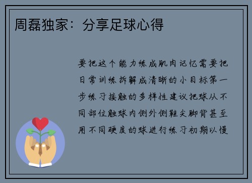 周磊独家：分享足球心得